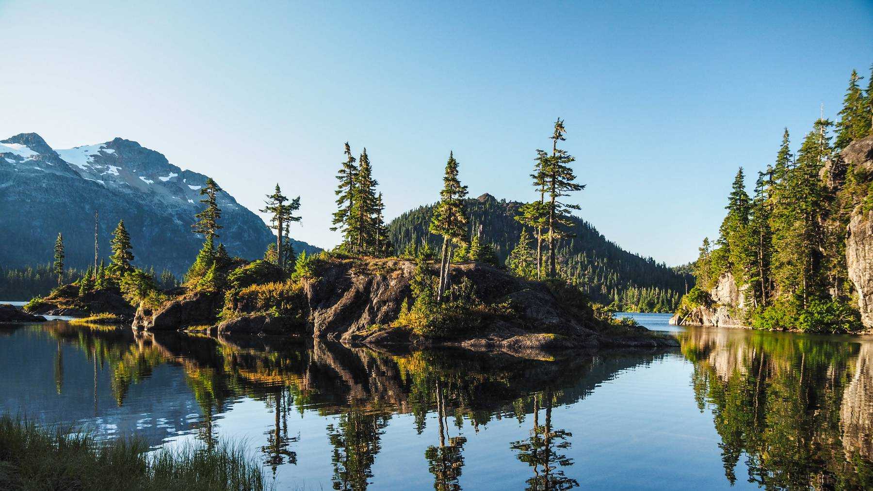 A small island covered in trees